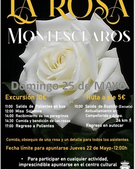 La rosa 25