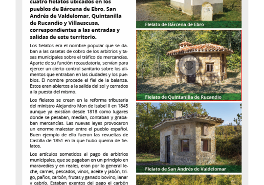 Boletín