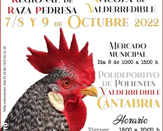 Campeonato regional de raza Pedresa y exposición avícola de Valderredible