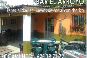 Arroyo2