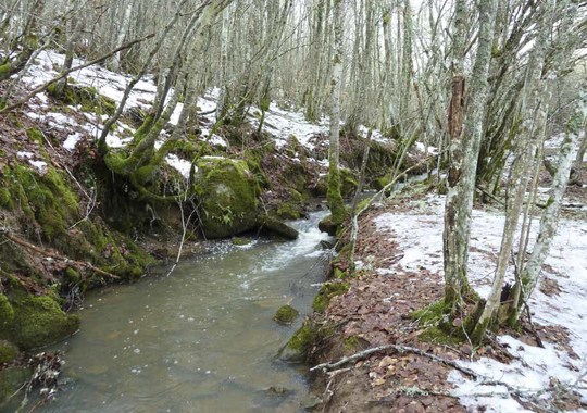 Arroyo Costumbría