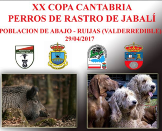 XX Copa de Cantabria de Perros de Rastro de Jabalí